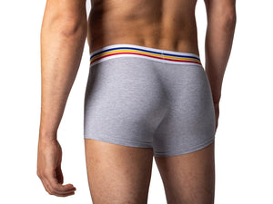 Stretch Cotton Trunk Underwear - Gray